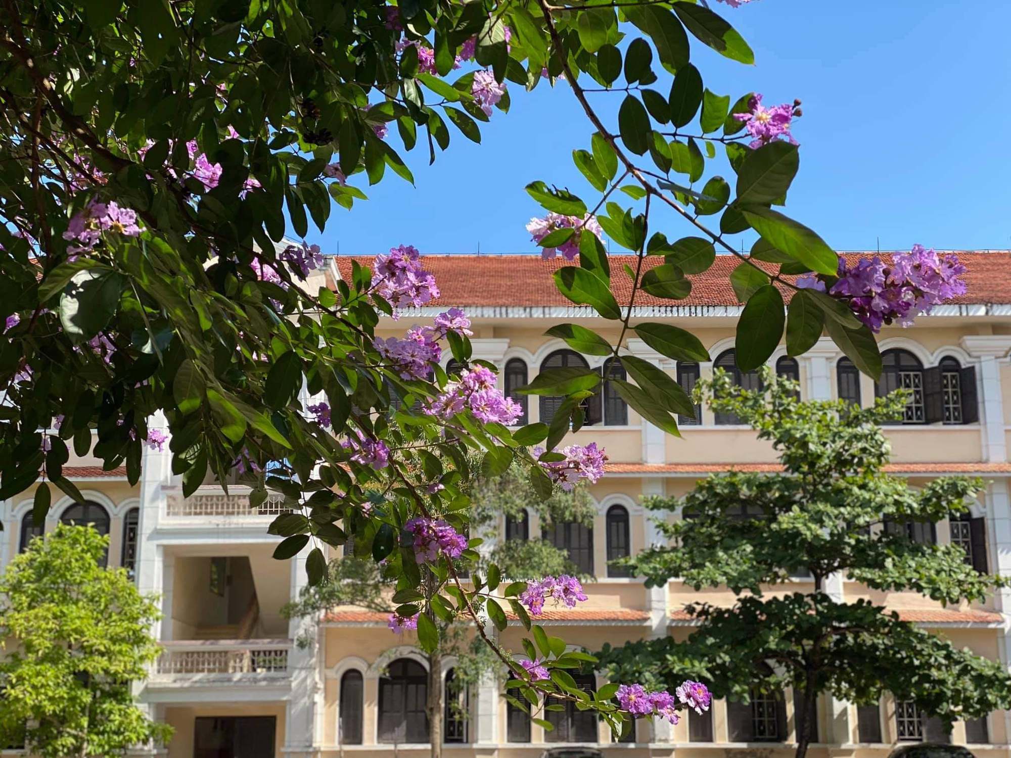 Trường THPT Chuyên Lê Hồng Phong( Nam Định)